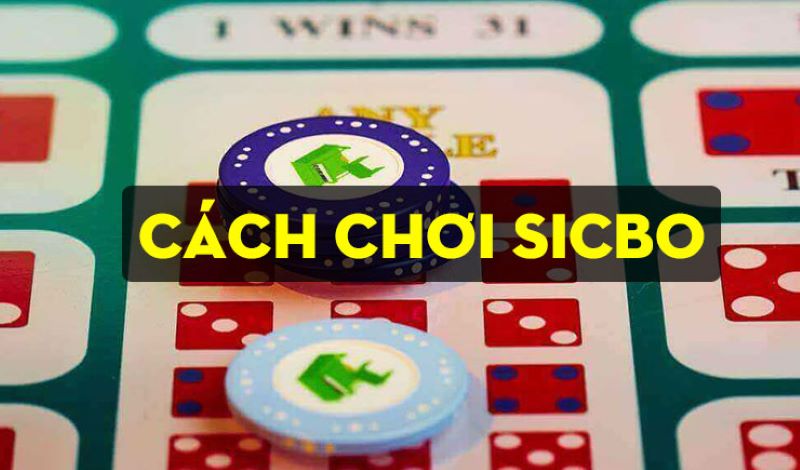 Hướng dẫn cách chơi Sicbo đơn giản